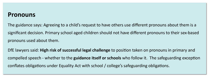 Pronounsinset800px | Schools Week